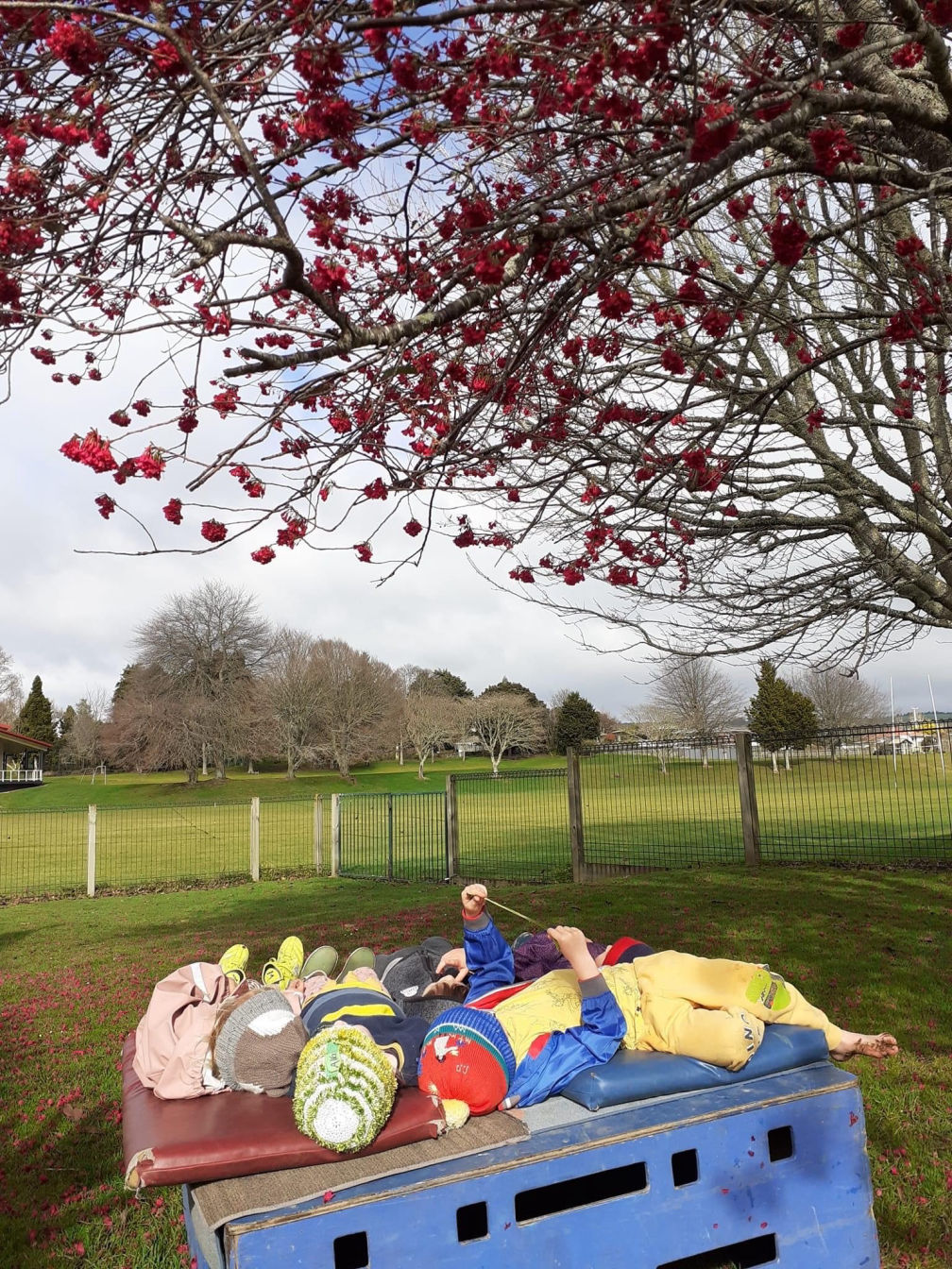 Children laid looking up at a tree