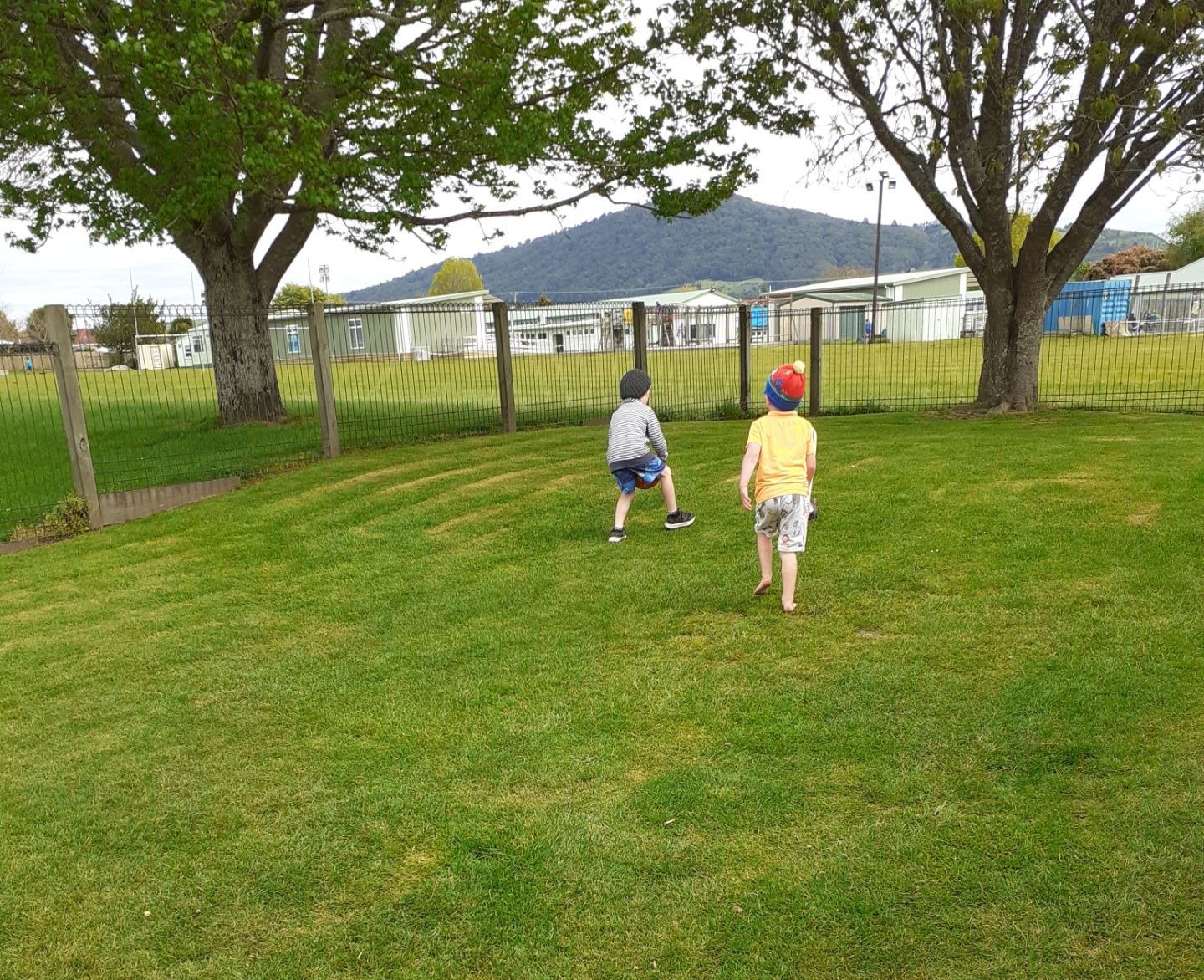 Two children standing in a grass field underneath a tree